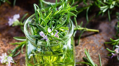 Rosemary: Nature's Secret to Flawless Skin