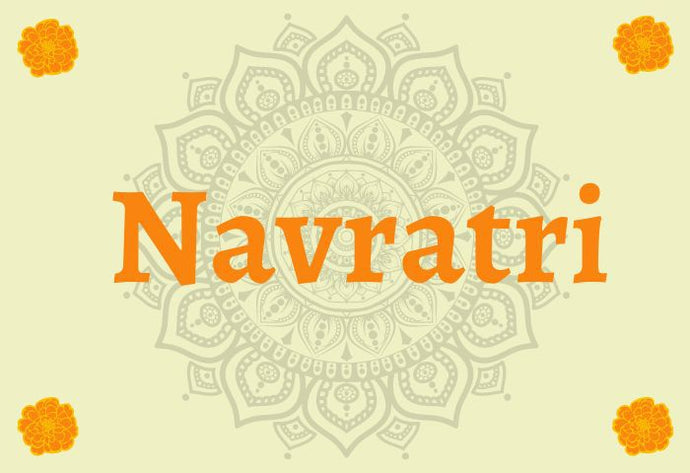 Navratri Celebration (part 1 of 2)