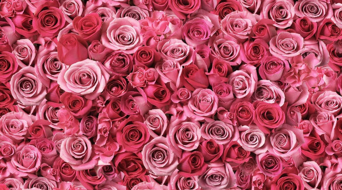 4 Reasons Why Rose Is Important For Your Skin